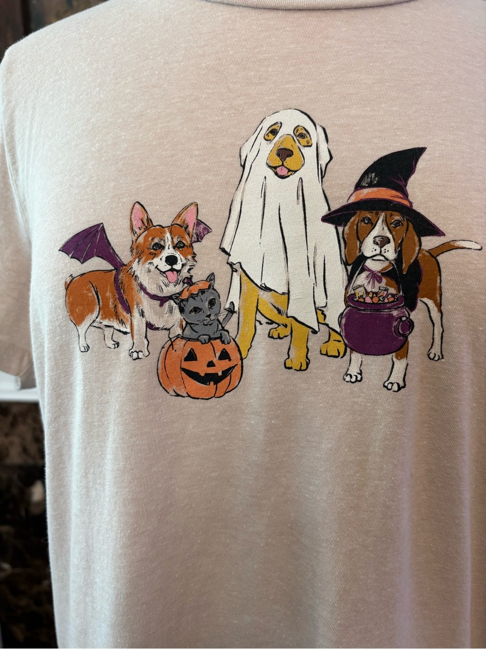 J. Crew Halloween Pets Graphic Tee XL